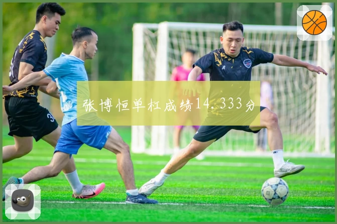 张博恒单杠成绩14.333分