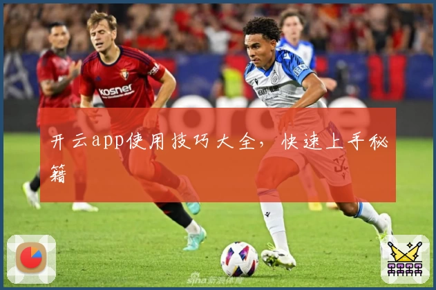 开云app使用技巧大全，快速上手秘籍