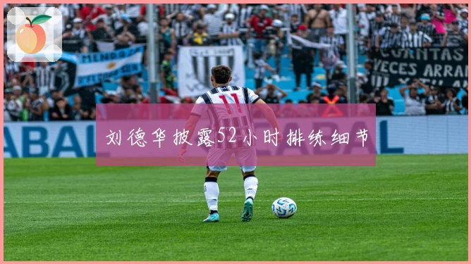 刘德华披露52小时排练细节